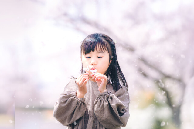 あさひさん桜写真